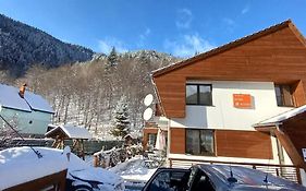 Pensiunea Floarea Soarelui